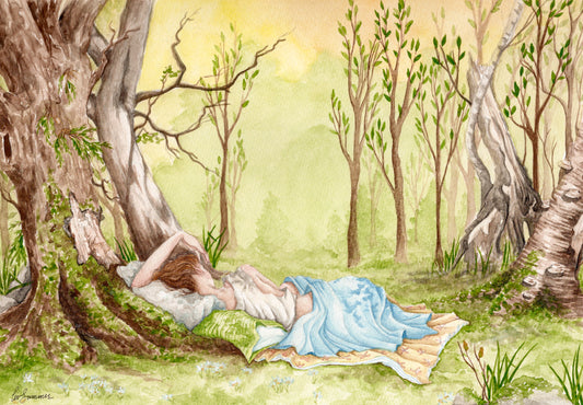 Forest Nap - Fine Art Print