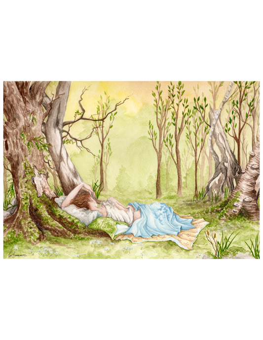 Forest Nap - Original Watercolour